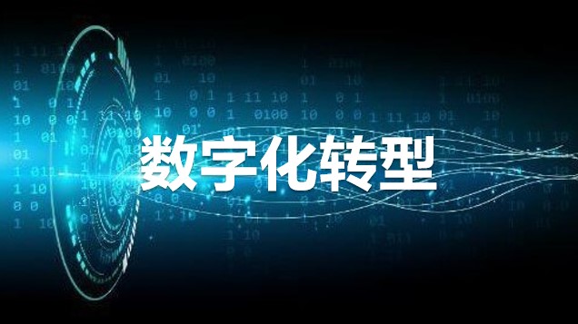 发挥数字人才赋能作用，助推中小企业数字化转型